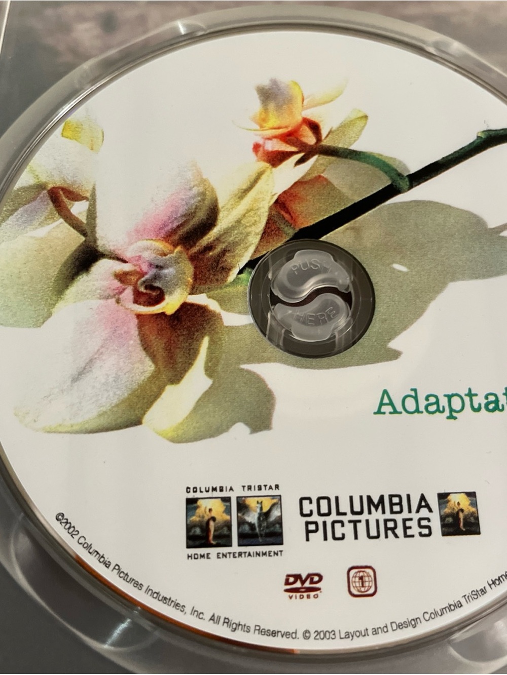Adaptation. - Picture 3 of 3